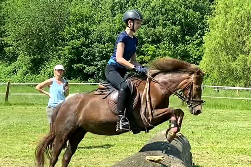 Reitunterricht Springen Gut Tangstedt