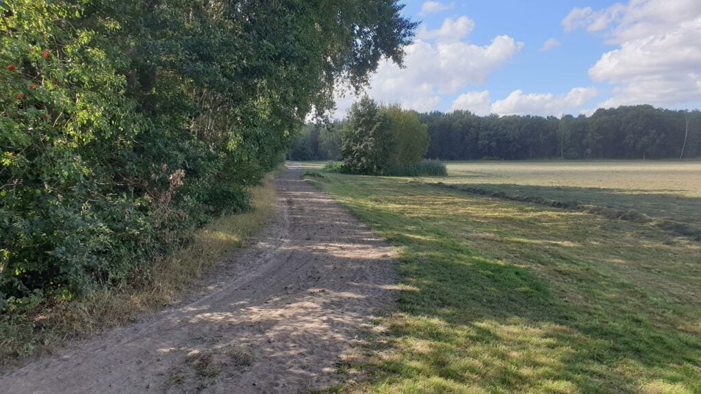 Reitweg an Wiese Gut Tangstedt