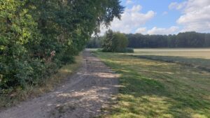 Reitweg an Wiese Gut Tangstedt