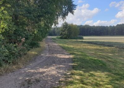Reitweg an Wiese Gut Tangstedt