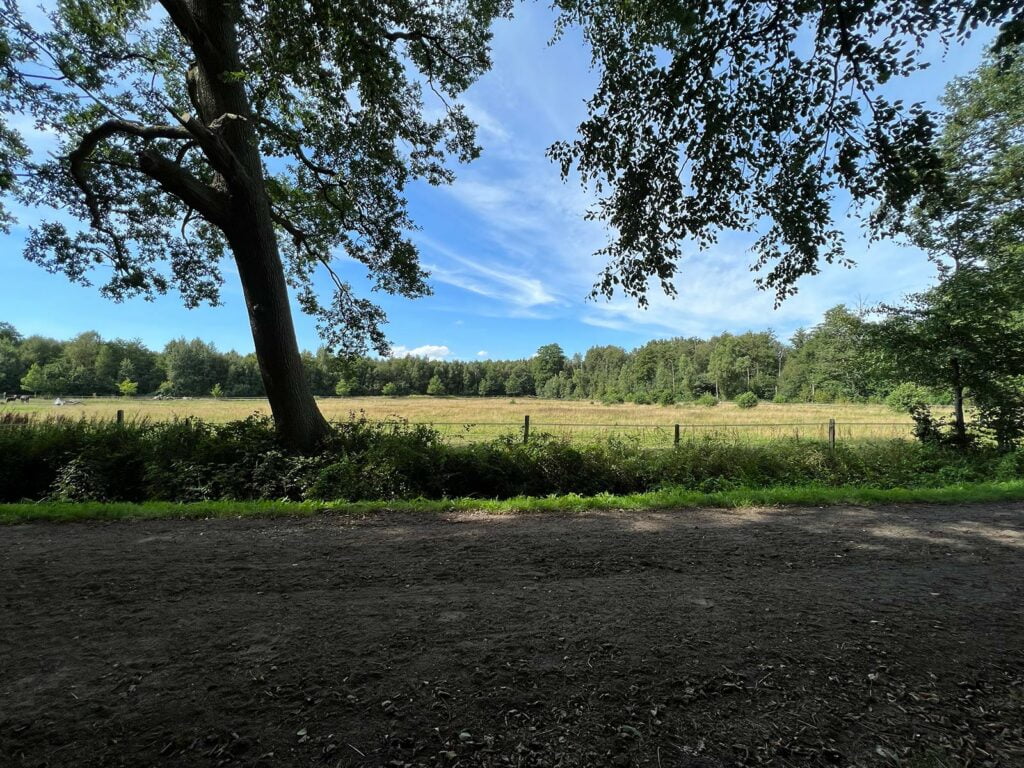 Ponywiese Gut Tangstedt
