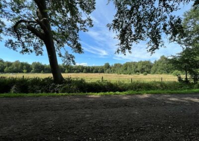 Ponywiese Gut Tangstedt