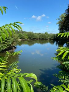 Teich Gut Tangstedt in der Sonne