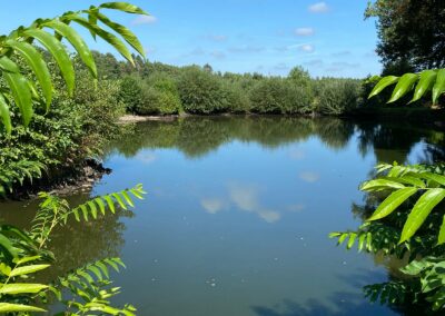 Teich Gut Tangstedt in der Sonne