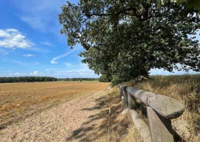 Anbinder Reitweg Feldrunde Gut Tangstedt