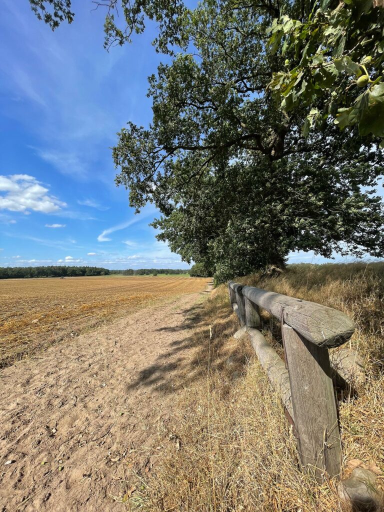 Anbinder Reitweg Feldrunde Gut Tangstedt