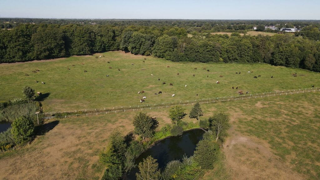 Luftbild Sommerweide Gut Tangstedt