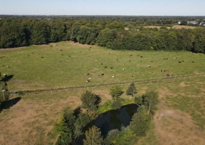 Luftbild Sommerweide Gut Tangstedt