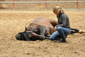 Trainerin Sabrina Engel Training Horsemanship