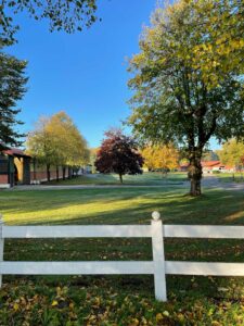 Bäume im Herbstlicht vor Halle 1 Gut Tangstedt