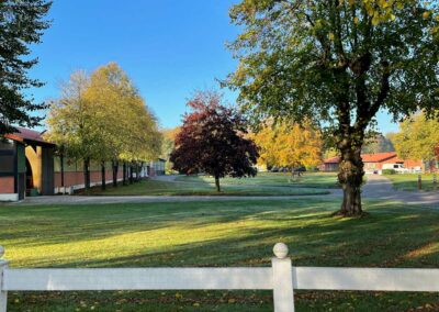 Bäume im Herbstlicht vor Halle 1 Gut Tangstedt