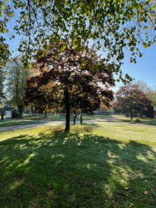 Bäume in der Herbstsonne Hofrondell Gut Tangstedt