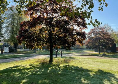 Bäume in der Herbstsonne Hofrondell Gut Tangstedt