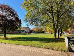 Spaziergang Pferd Hofrondell Gut Tangstedt