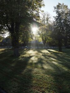 Herbstliche Wiese Halle 1 Gut Tangstedt