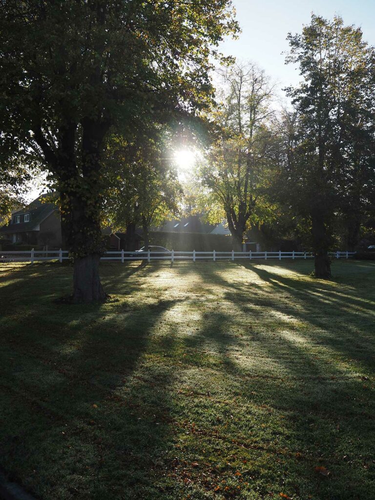 Herbstliche Wiese Halle 1 Gut Tangstedt