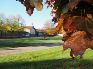 Herbstlaub Hofrondell Gut Tangstedt