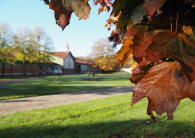 Herbstlaub Hofrondell Gut Tangstedt