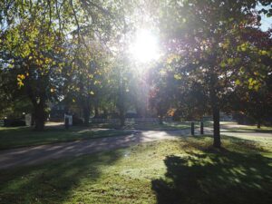 Herbstsonne Hofeinfahrt Gut Tangstedt