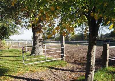 Paddock Beekmoorweg Gut Tangstedt