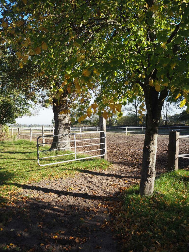 Paddock Beekmoorweg Gut Tangstedt