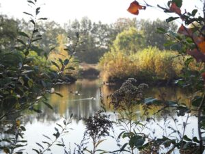 Teich Gut Tangstedt