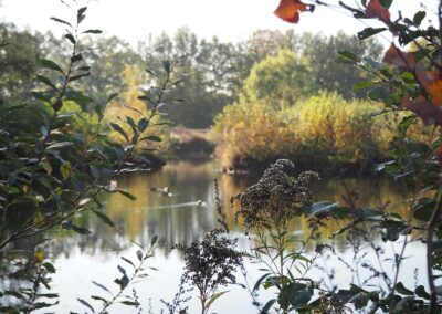Teich Gut Tangstedt