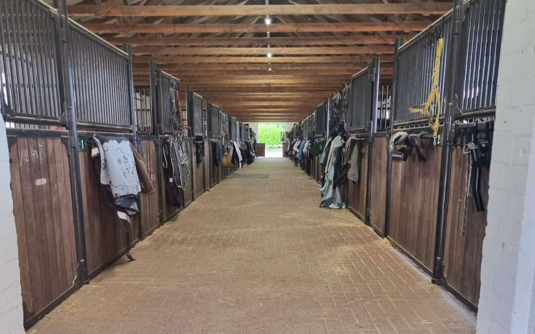 Stallgasse Holsteiner Stall Gut Tangstedt