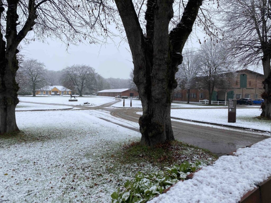 Hofrondell Gut Tangstedt im Schnee