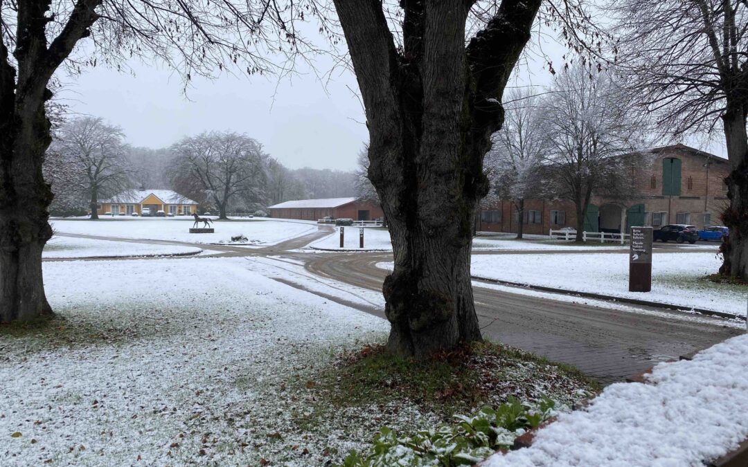 Hofrondell Gut Tangstedt im Schnee