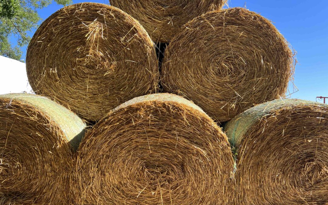 Strohmiete 2022 Gut Tangstedt