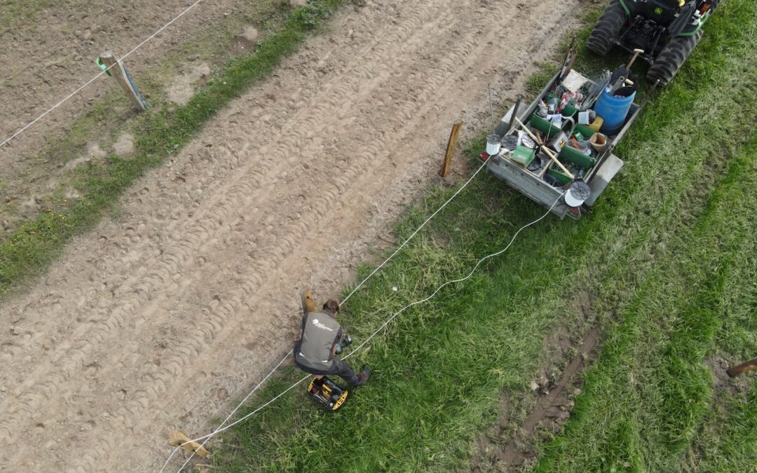 Luftbild Zaunbau Einzelweiden Gut Tangstedt