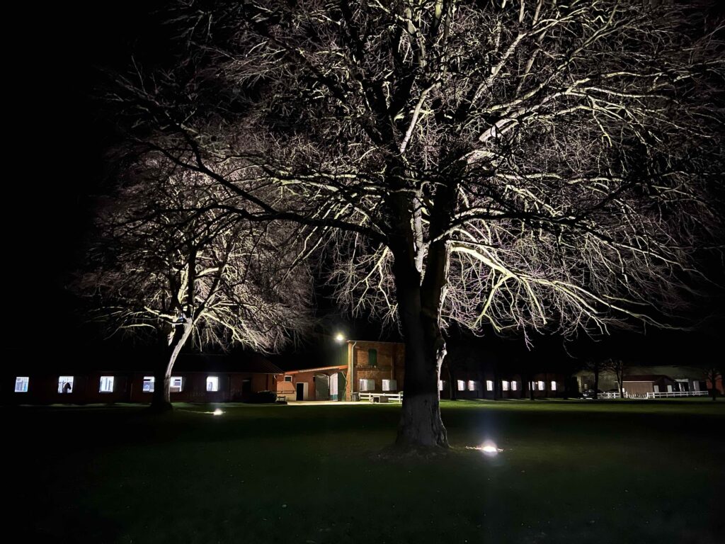 Nachtliches Hofrondel Gut Tangstedt mit beleuchteten Bäumen