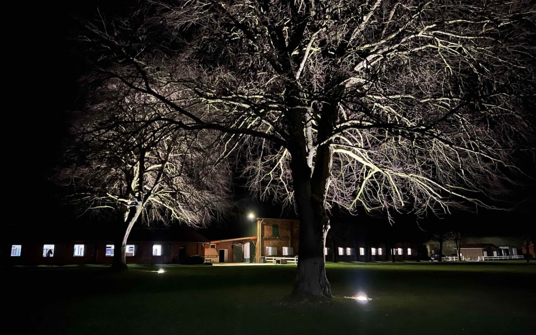 Nachtliches Hofrondel Gut Tangstedt mit beleuchteten Bäumen