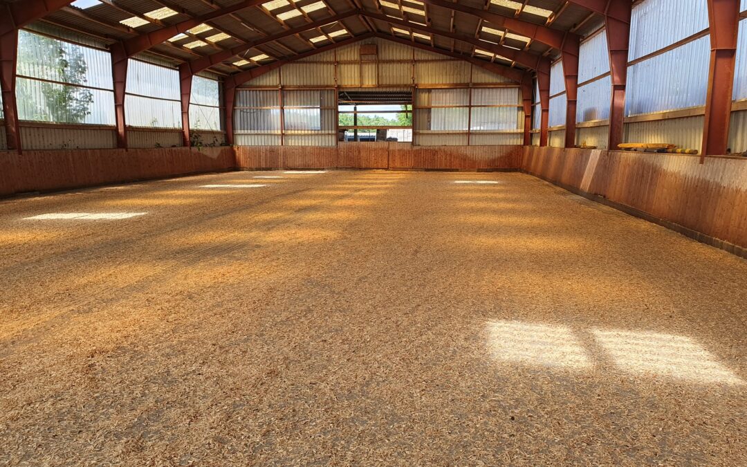 Reitboden Sand-Späne-Gemisch Longierhalle Gut Tangstedt