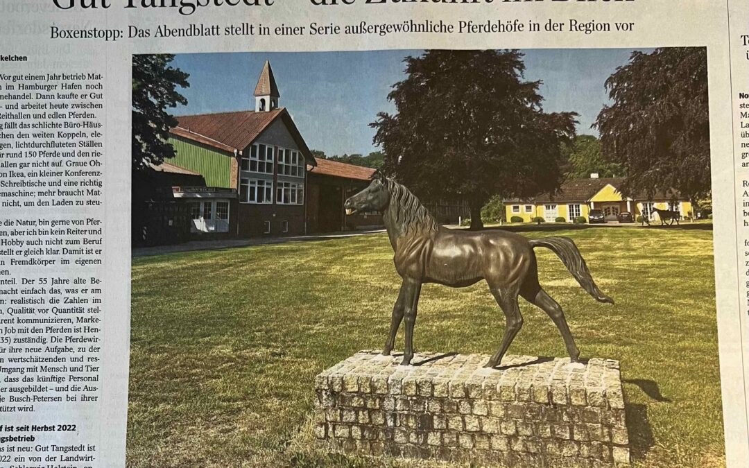 Vorstellung Gut Tangstedt im Hamburger Abendblatt