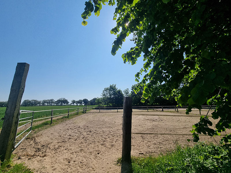 Paddock Beekmoorweg Gut Tangstedt in der Sonne