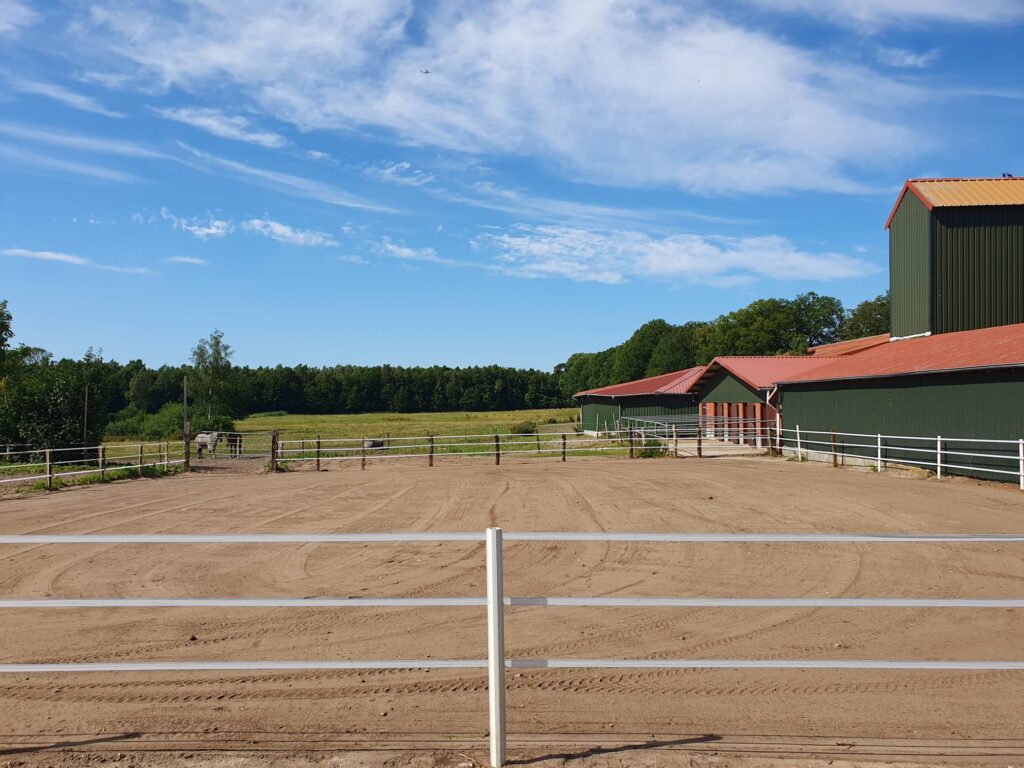 Paddock mit Gummimatten und neuem Sand.