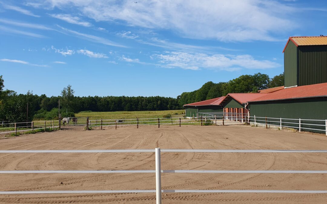 Paddock mit Gummimatten und neuem Sand.
