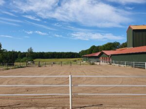 Paddock mit Gummimatten und neuem Sand.