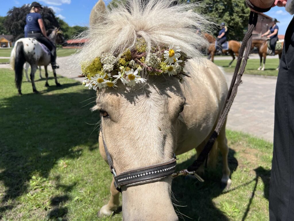 festlich geschmücktes Pony