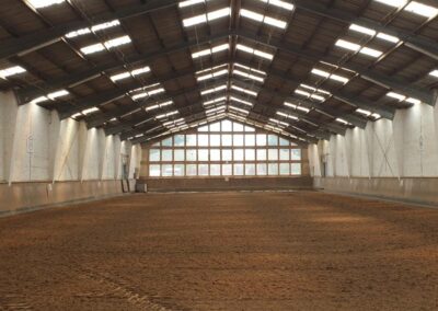 Halle 2 Reitboden