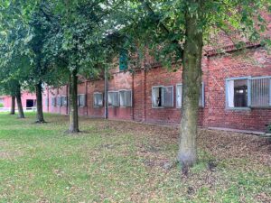 Kuhstall Fensterboxen Gut Tangstedt