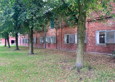 Kuhstall Fensterboxen Gut Tangstedt