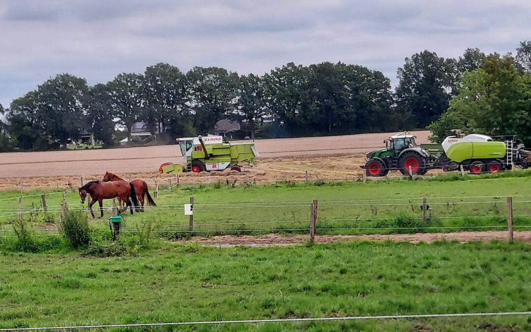 Mähdrescher und Ballenpresse Acker Tangstedt