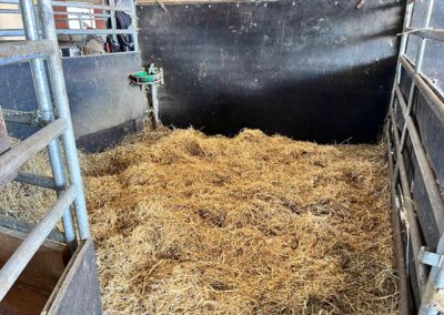 Innenbox Freiluftstall Gut Tangstedt