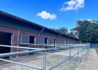 Paddocks Boxen Halle 2 rechts Gut Tangstedt