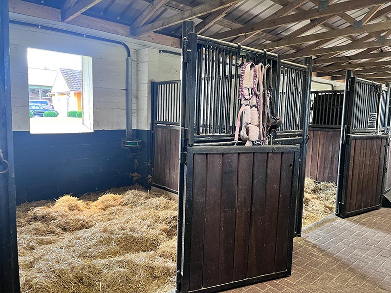 Holsteiner Stall Box klein
