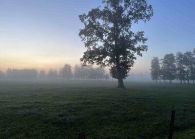 Morgenstimmung mit Nebel Fahrenhorster Weg Tangstedt