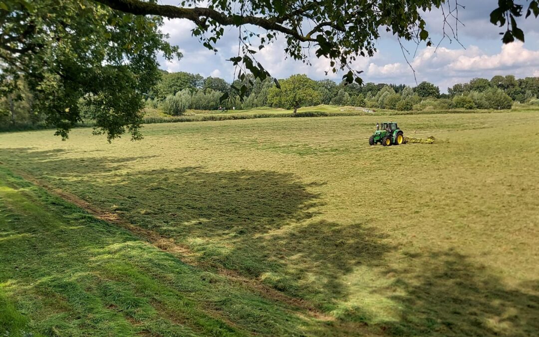 Heuernte Gut Tangstedt